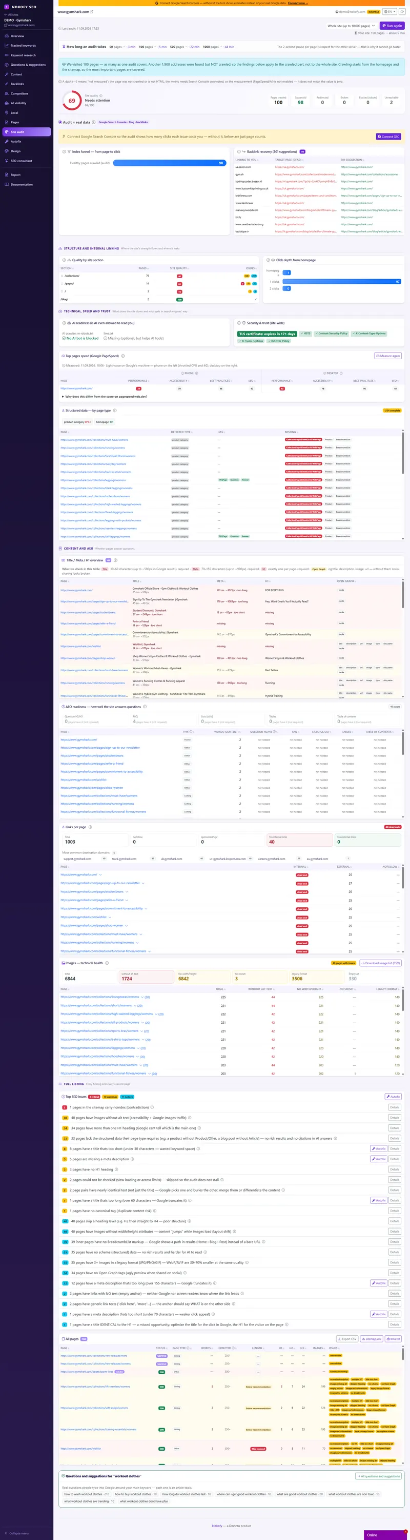 Screenshot: Site audit
